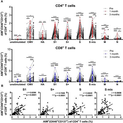 Sex, Age, and Ethnic Background Shape Adaptive Immune Responses Induced by the SARS-CoV-2 mRNA Vaccine